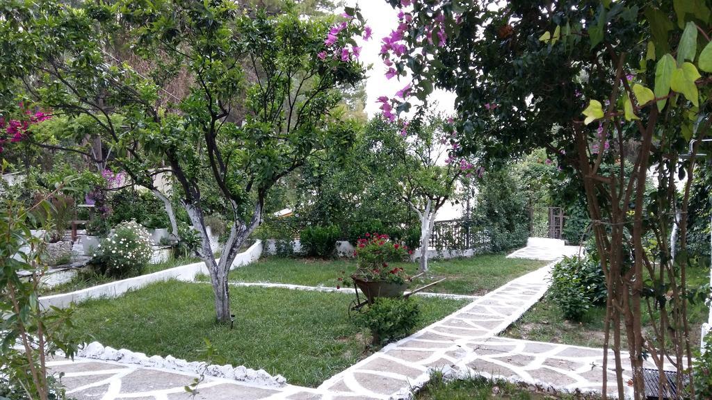 帕拉马Ionian Paths公寓 外观 照片